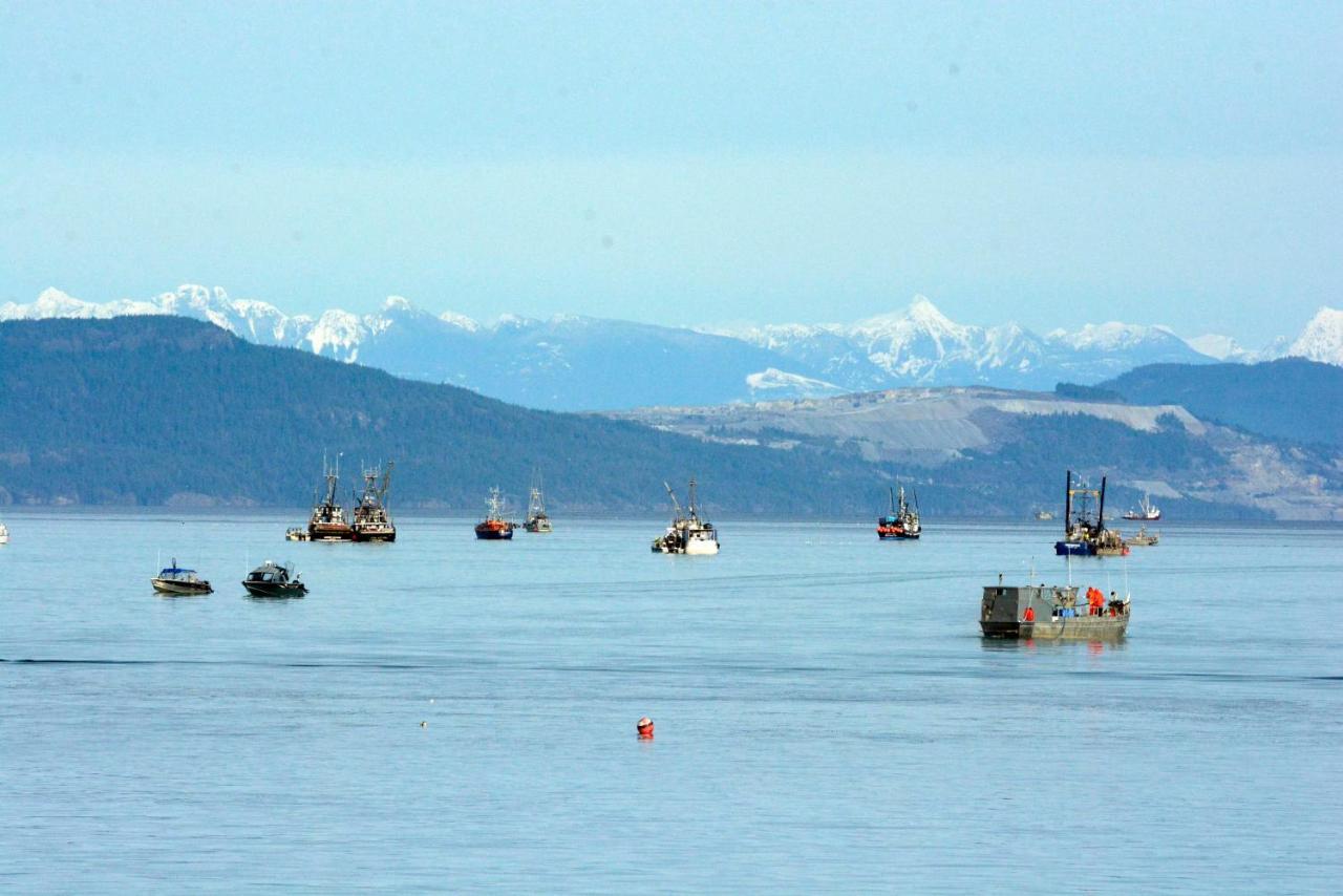 Appartement Oceanfront Paradise à Comox Extérieur photo