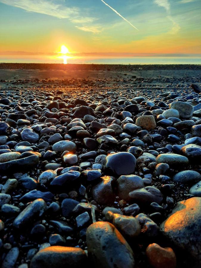 Oceanfront Paradise Comox Extérieur photo