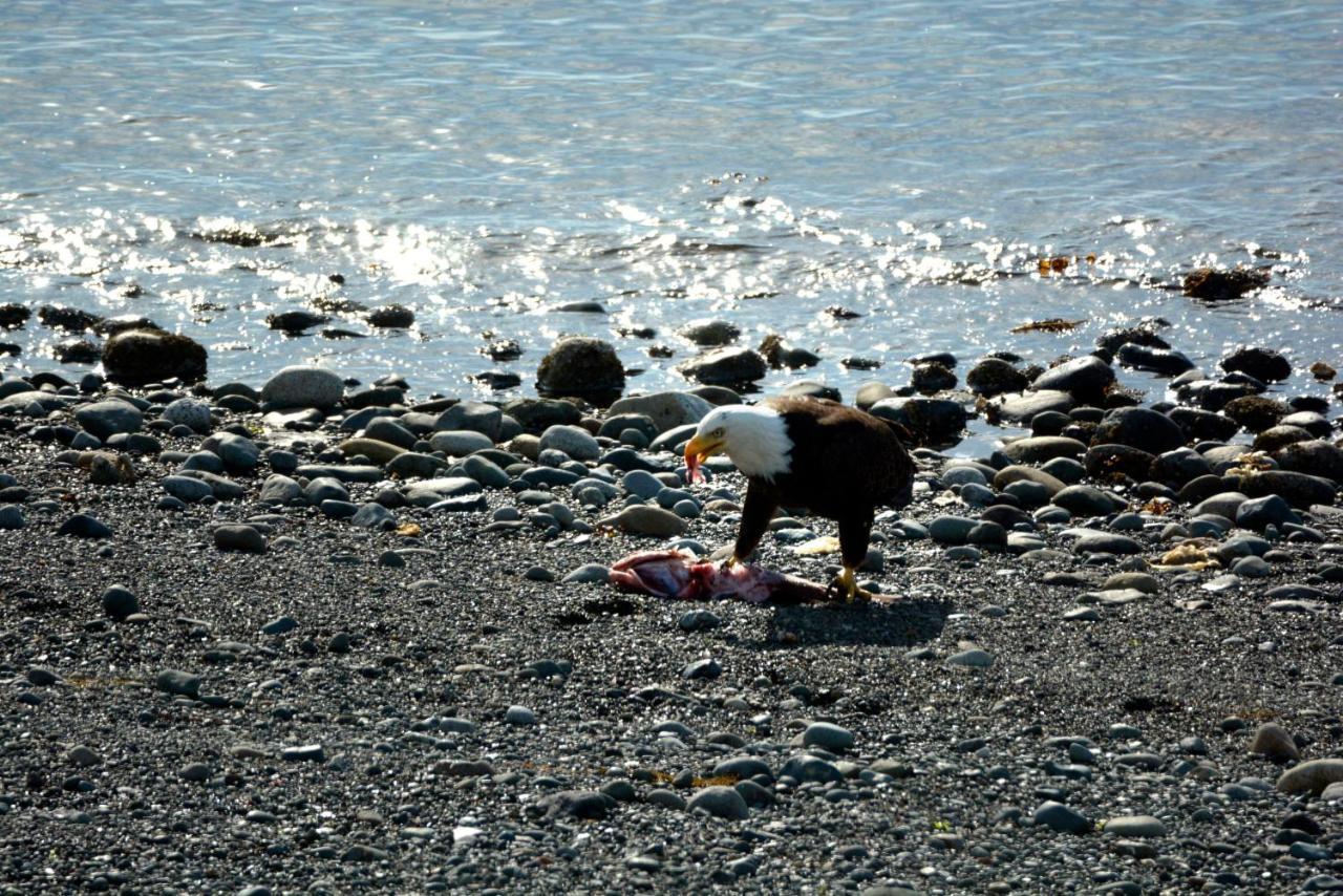 Oceanfront Paradise Comox Extérieur photo