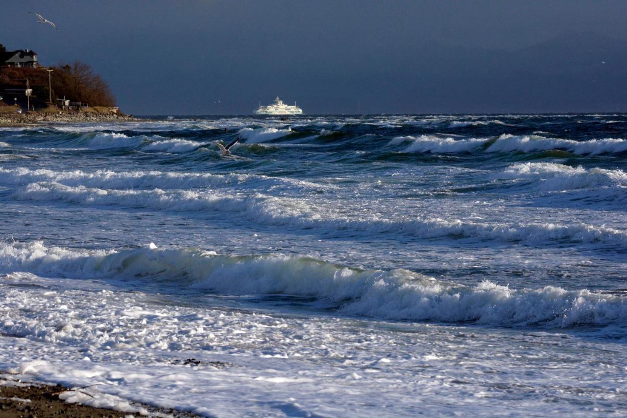 Oceanfront Paradise Comox Extérieur photo